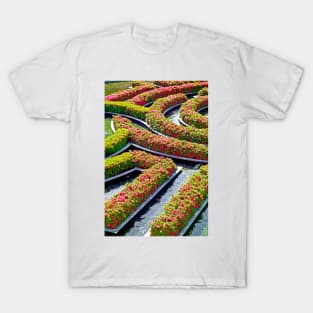 Getty Gardens Study 2 T-Shirt